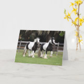 Bob Langrish | Twee zwarte en witte gipspanners Kaart (Gele Bloem)