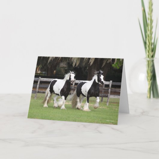 Bob Langrish | Twee zwarte en witte gipspanners Kaart (Voorkant)