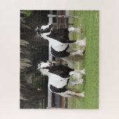 Bob Langrish | Twee zwarte en witte gipspanners Legpuzzel (Verticaal)