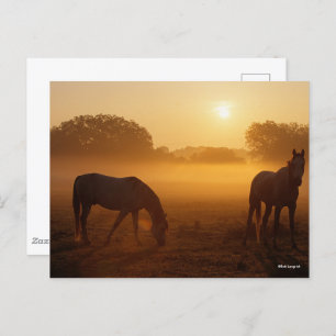 Bob Langrish Two Arabs die bij zonsopgang staan Briefkaart