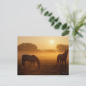 Bob Langrish Two Arabs die bij zonsopgang staan Briefkaart (Staand voorkant)