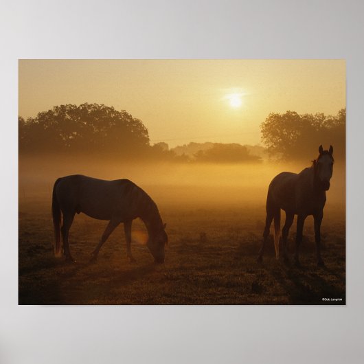 Bob Langrish Two Arabs die bij zonsopgang staan Poster (Voorkant)