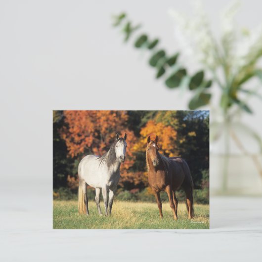 Bob Langrish Two Arabs die samen in het veld staan Briefkaart (Staand voorkant)