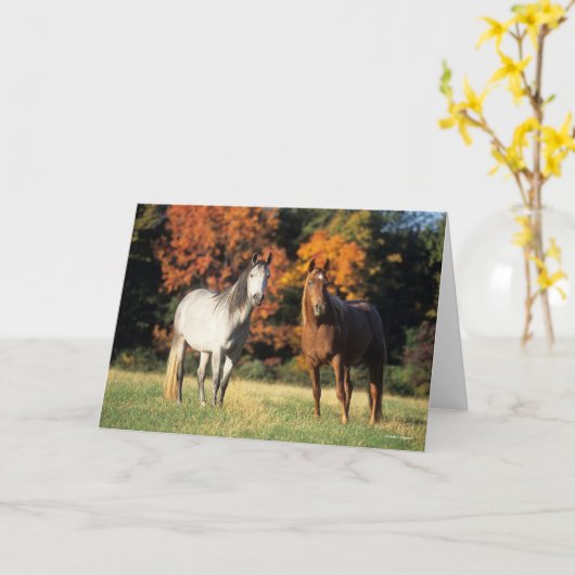 Bob Langrish Two Arabs die samen in het veld staan Kaart (Gele Bloem)