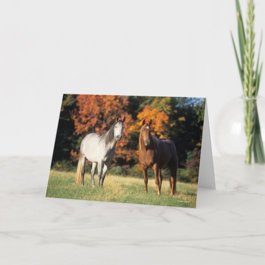 Bob Langrish Two Arabs die samen in het veld staan Kaart (Voorkant)