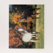 Bob Langrish Two Arabs die samen in het veld staan Legpuzzel (Verticaal)