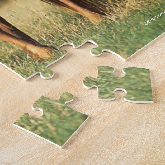 Bob Langrish Two Arabs die samen in het veld staan Legpuzzel (Zijkant)