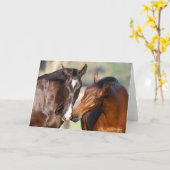 Bob Langrish | Two Canadian Sport Horses Meeting Kaart (Gele Bloem)