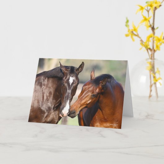 Bob Langrish | Two Canadian Sport Horses Meeting Kaart (Gele Bloem)