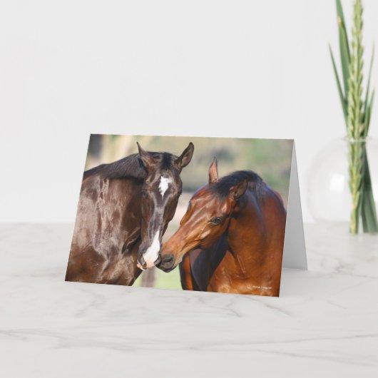 Bob Langrish | Two Canadian Sport Horses Meeting Kaart (Voorkant)