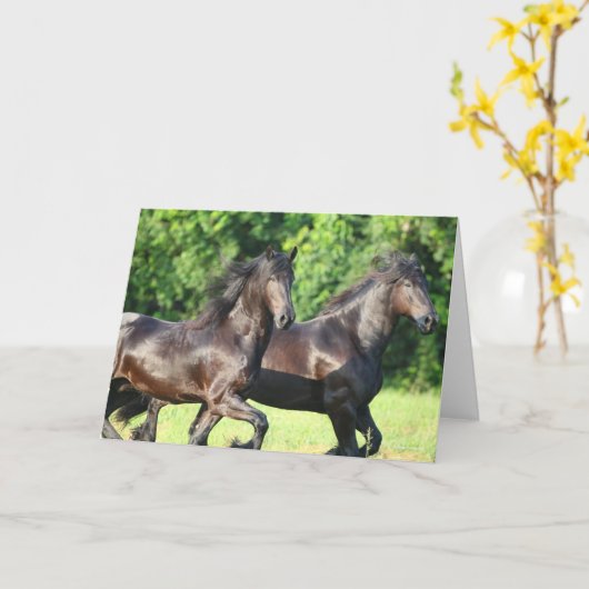 Bob Langrish | Two Friesians Running Together Kaart (Gele Bloem)