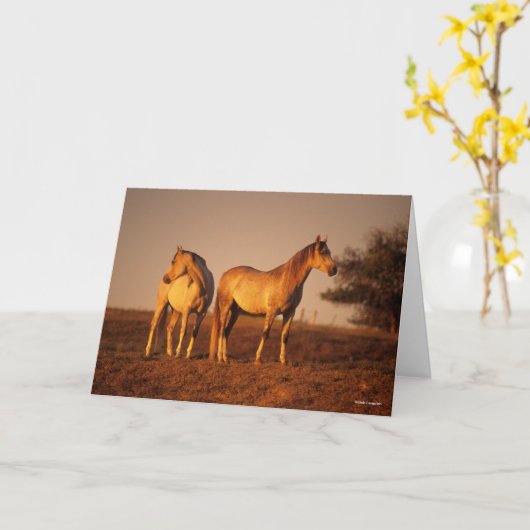 Bob Langrish | Two Grey Arabs Standing at Sunset Kaart (Gele Bloem)