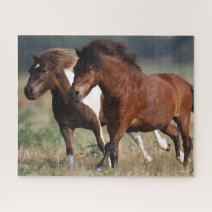 Bob Langrish Two Shetland Ponies die samen lopen Legpuzzel