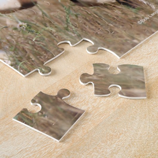 Bob Langrish Two Shetland Ponies die samen lopen Legpuzzel (Zijkant)