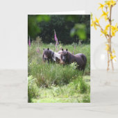 Bob Langrish Two Shetland Ponies Standing Samen Kaart (Gele Bloem)