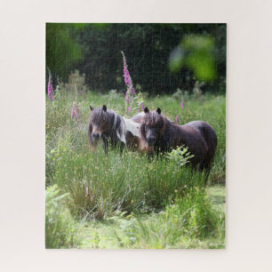Bob Langrish Two Shetland Ponies Standing Samen Legpuzzel