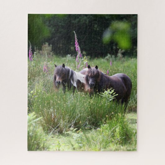 Bob Langrish Two Shetland Ponies Standing Samen Legpuzzel (Verticaal)