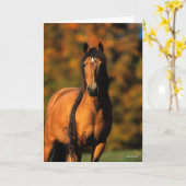 Bob Langrish | Vaststaand Pony Chocktaw Kaart (Gele Bloem)