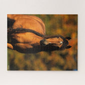 Bob Langrish | Vaststaand Pony Chocktaw Legpuzzel (Horizontaal)