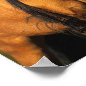 Bob Langrish | Vaststaand Pony Chocktaw Poster (Hoek)