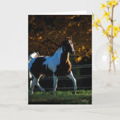 Bob Langrish | Verfpaarden die in de herfst met ac Kaart (Gele Bloem)