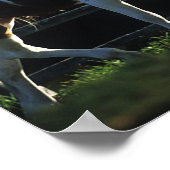 Bob Langrish | Verfpaarden die in de herfst met ac Poster (Hoek)