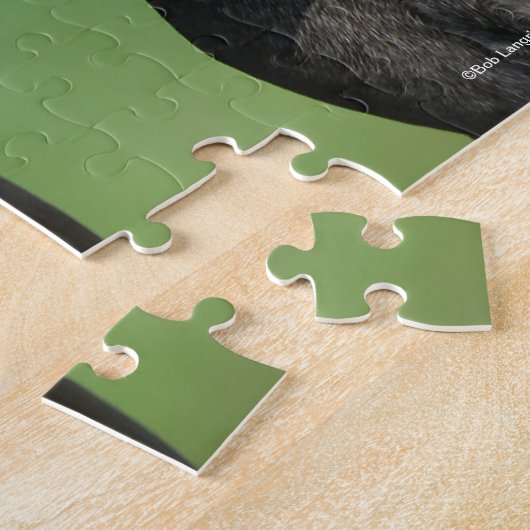 Bob Langrish | Vier Andalucian Youngstock op hek Legpuzzel (Zijkant)