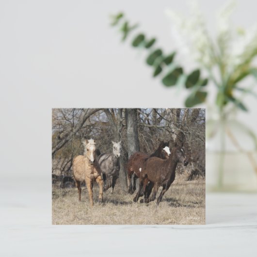 Bob Langrish | Vier buikpaarden Briefkaart (Staand voorkant)