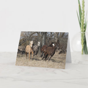 Bob Langrish Vier buikpaarden Kaart