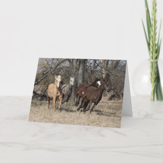 Bob Langrish | Vier buikpaarden Kaart (Voorkant)