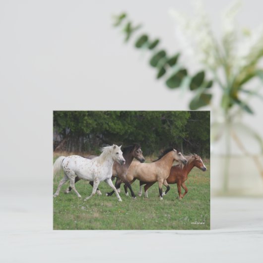 Bob Langrish | Vier pony's die samenwerken Briefkaart (Staand voorkant)