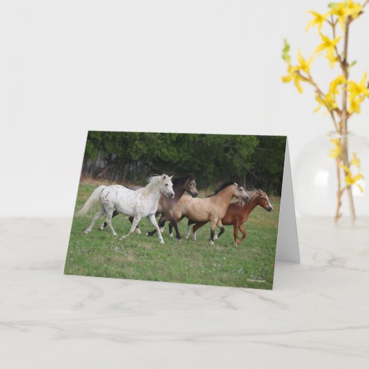 Bob Langrish | Vier pony's die samenwerken Kaart (Gele Bloem)