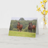 Bob Langrish | Vier Welsh Ponies die samen staan Kaart (Gele Bloem)