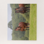 Bob Langrish | Vier Welsh Ponies die samen staan Legpuzzel (Verticaal)