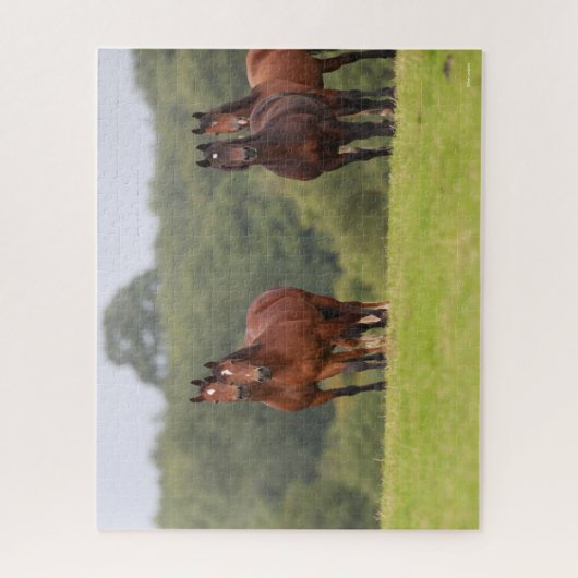 Bob Langrish | Vier Welsh Ponies die samen staan Legpuzzel (Verticaal)