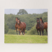 Bob Langrish | Vier Welsh Ponies die samen staan Legpuzzel (Horizontaal)