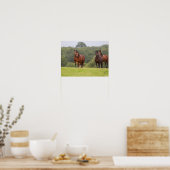 Bob Langrish | Vier Welsh Ponies die samen staan Poster (Keuken)