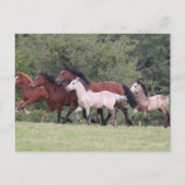 Bob Langrish Welsh Ponies Running Mares and Foals Briefkaart (Voorkant)