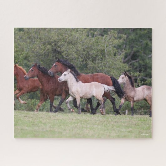 Bob Langrish Welsh Ponies Running Mares and Foals Legpuzzel (Horizontaal)
