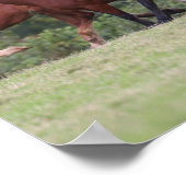 Bob Langrish Welsh Ponies Running Mares and Foals Poster (Hoek)