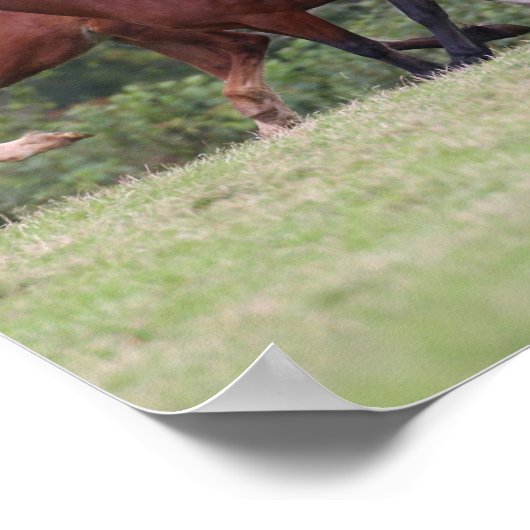 Bob Langrish Welsh Ponies Running Mares and Foals Poster (Hoek)