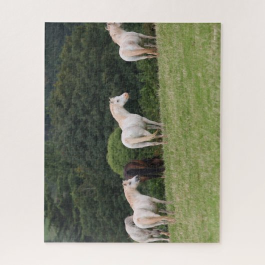 Bob Langrish | Welsh Ponies Standing in Field Legpuzzel (Verticaal)