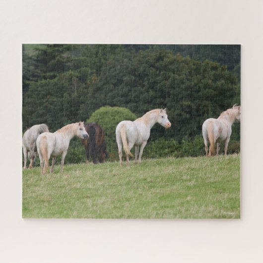 Bob Langrish | Welsh Ponies Standing in Field Legpuzzel (Horizontaal)