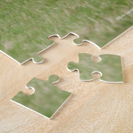 Bob Langrish | Welsh Ponies Standing in Field Legpuzzel (Zijkant)