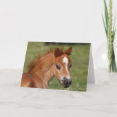 Bob Langrish | Welsh Pony Foal Headshot Kaart (Voorkant)
