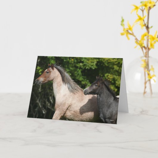 Bob Langrish | Welsh Pony Mare and Foal Headshot Kaart (Gele Bloem)