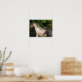 Bob Langrish | Welsh Pony Mare and Foal Headshot Poster (Keuken)