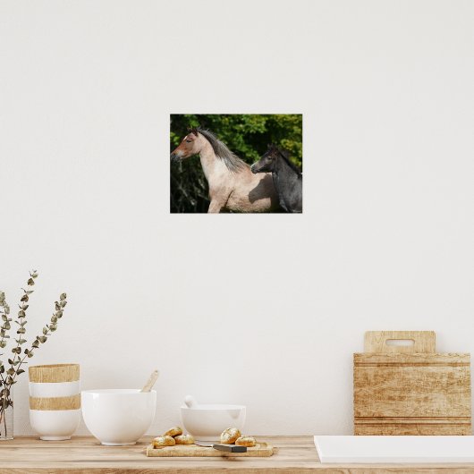 Bob Langrish | Welsh Pony Mare and Foal Headshot Poster (Keuken)