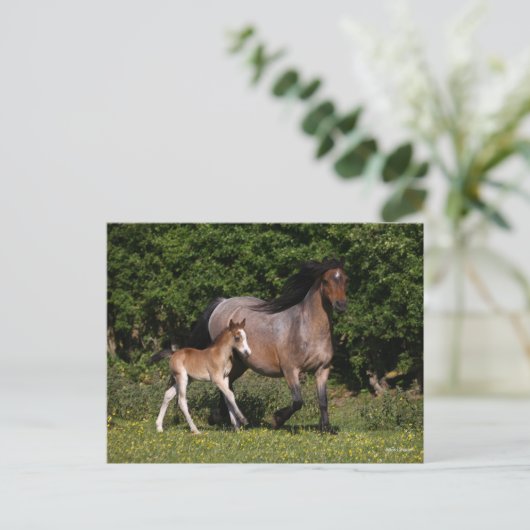Bob Langrish | Welsh Pony Mare and Foal Running Briefkaart (Staand voorkant)