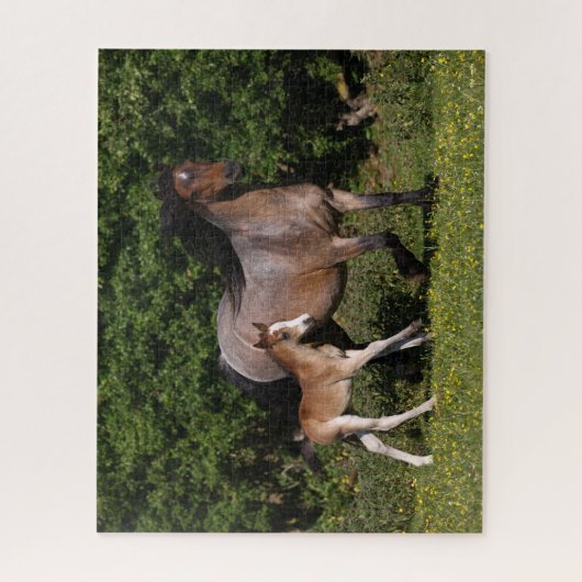 Bob Langrish | Welsh Pony Mare and Foal Running Legpuzzel (Verticaal)